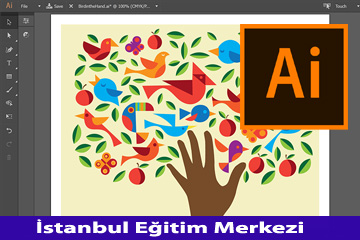 Adobe Illustrator ile Vektörel Tasarım